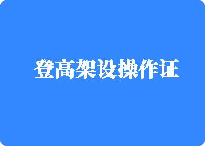 日屄口爆了登高架设操作证